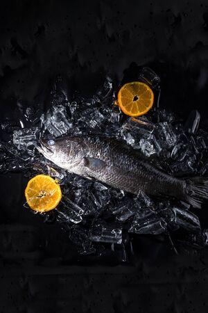 Fresh sea bass fish on ice on a black stone table top viewの写真素材