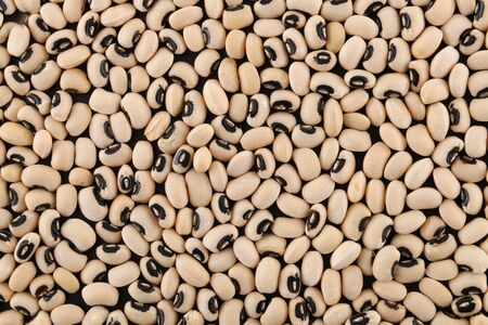 Background texture of dried black-eyed peas or beans, Vigna unguiculata, or cowpea, with a spoonful in a wooden spoon, grown as a staple nutritional crop, as animal fodder and to enrich soilの写真素材