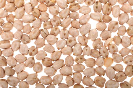 Chickpea uncooked chickpea isolated on white background, Top view.の写真素材