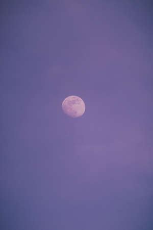 A full moon in a purple sky. Close up. Toned.の写真素材