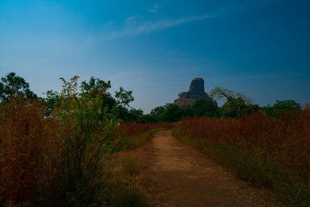 A path in the autumnの写真素材