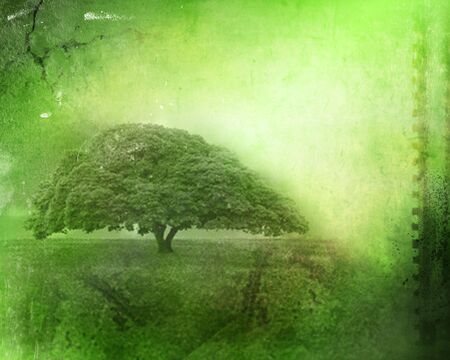 vintage image of a tree in the fieldの写真素材