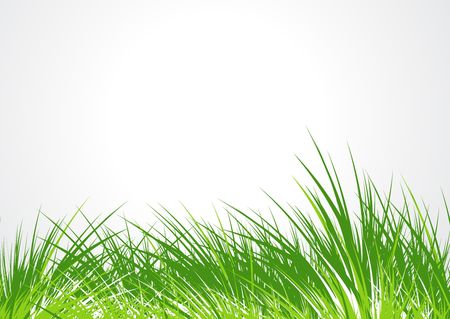 green branches isolated on white background with space of your text, vector illustrationのイラスト素材