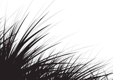 tree branches isolated on white background with space of your text
のイラスト素材