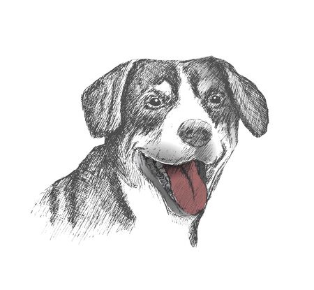 Face of dog hand drawn Sketch on white backgroundのイラスト素材