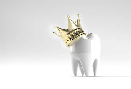 Dental King model of premolar tooth 3D Rendering.の写真素材