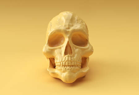 Human skull. The concept of deathの写真素材