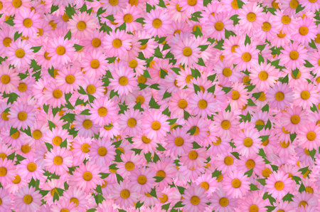 A pink flower pattern with green leaves and the word pink on itの写真素材