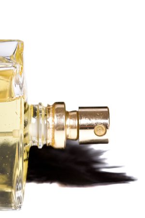 bottle of parfum with black feather on white backgroundの写真素材