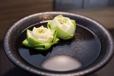 Twin White lotus on green leaves float on the water inside black bowlの写真素材