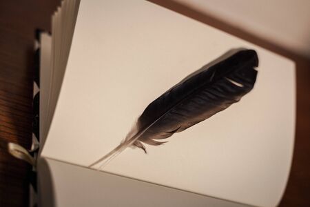 closeup feather on lecture note book opening show empty page on wood table