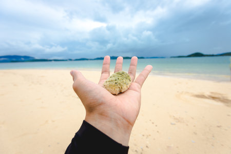 small coral ball on a hand with seaside background and nobodyの写真素材