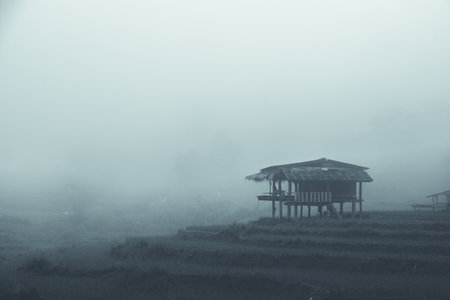 Old wooden house on the field at nightの写真素材