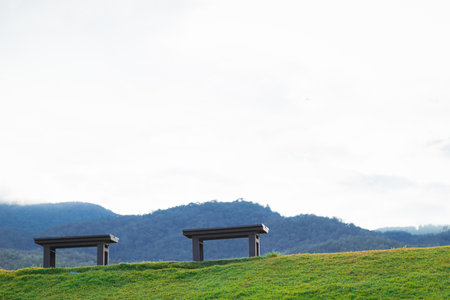 Bench over the green grass field against the sky. Feel empty but peaceful