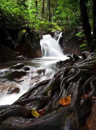 Waterfall with flow of the stream in tropical rainforest, Malaysiaの写真素材