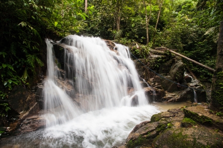 Tropical Waterfallの写真素材