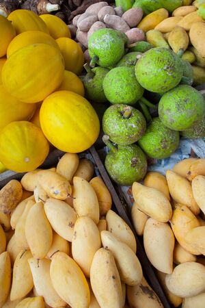 Tropical Fruitsの写真素材