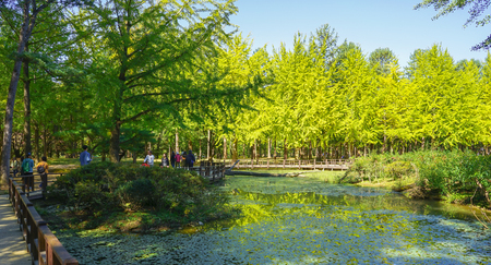 NAMI ISLAND, SOUTH KOREA - OCTOBER 30TH, 2015. View of gardens and lakes.