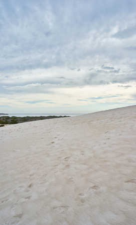 Lancelin Sand Dunes, Western Australia, Perthの写真素材
