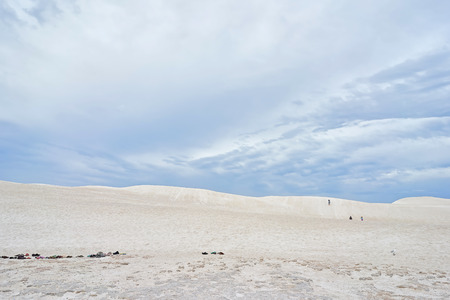 Lancelin Sand Dunes, Western Australia, Perthの写真素材