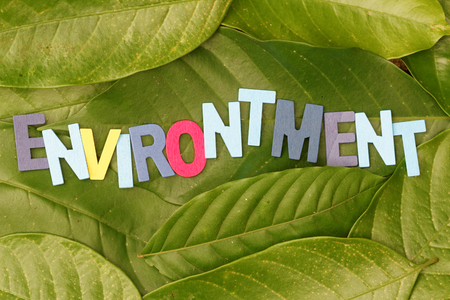 Colourful wooden alphabet block forming word ENVIRONMENT on green leaves. Concept of green and environment.の写真素材