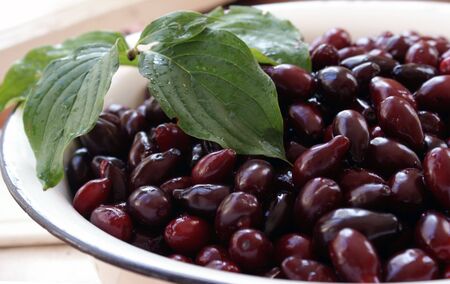 ripe cornelian cherries with leaf in enamel wareの写真素材