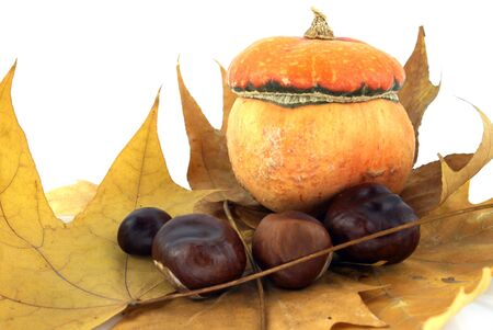 autumn  leaf of maple with chestnut and pumpkinの写真素材