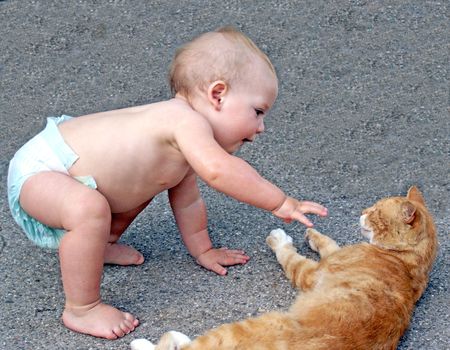 baby playing with catの写真素材