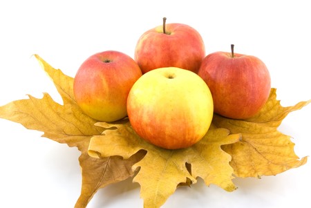 ripe apples on autumn leaf の写真素材