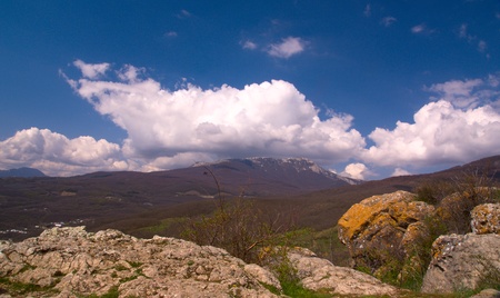 open grassland on the brink of forestの写真素材