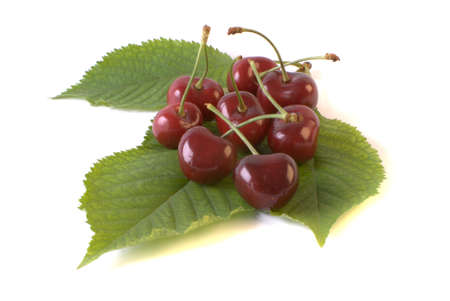cherry and leaf on white background