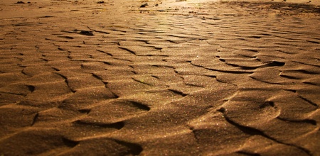 sand with dunes on beach