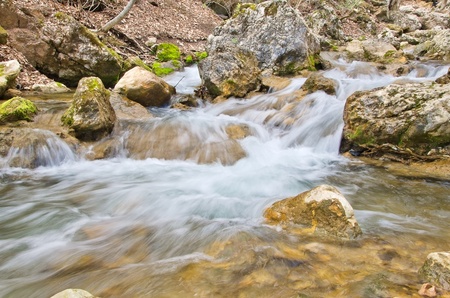 cascade among heart of the forestの写真素材