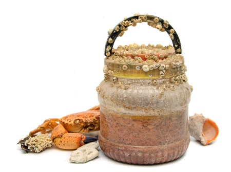 plastic bottle overgrown with mussels on white backgroundの写真素材