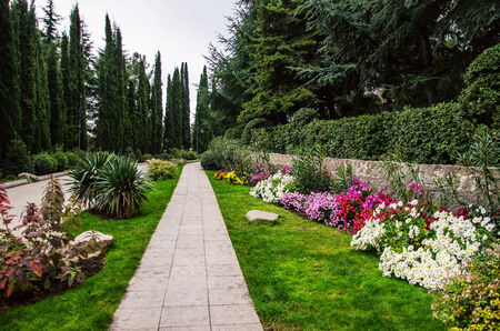 Pathway in a Beautiful Tranquil Public Parkの写真素材