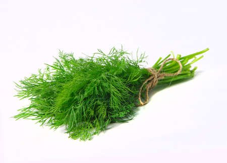 bunch of dill on white backgroundの写真素材