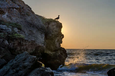 Sea and bizarre cliffs on the beach at sunsetの写真素材