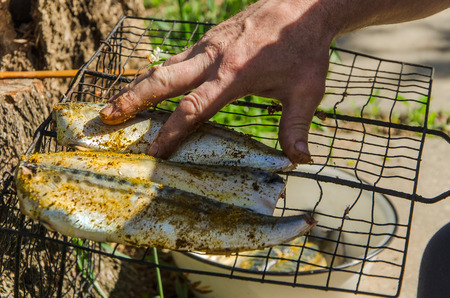 fish barbecue in forest picnicの写真素材
