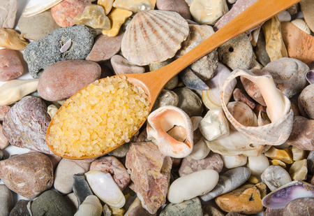 salt in wooden spoon on sea pebbles and shell