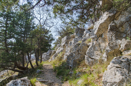 mountains scene with pathway at springtimeの写真素材