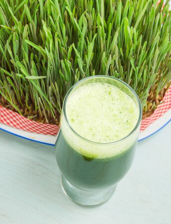 Wheatgrass juice with sprouted wheat top viewの写真素材