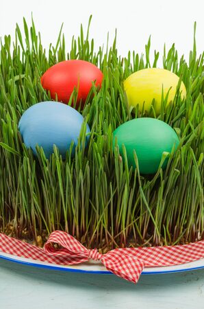 Easter concept with colorful eggs and wheat sprouts