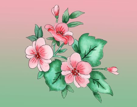 Watercolor illustration of pink flowers and green leavesの写真素材