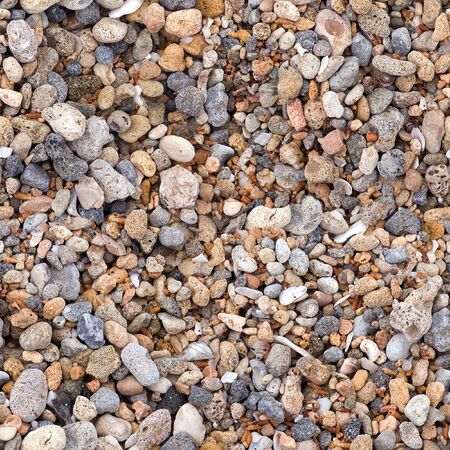 seamless pattern sea pebble with seashell on beach の写真素材