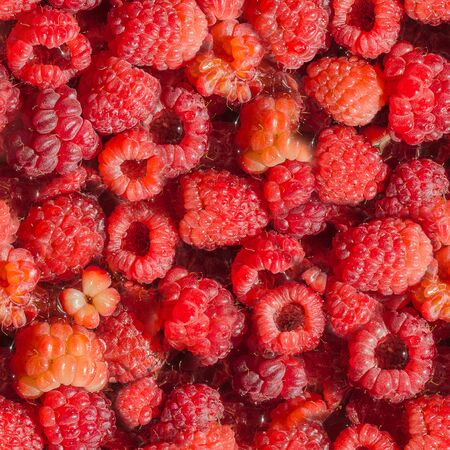 seamless pattern of ripe raspberries の写真素材