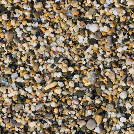 seamless pattern sea pebble with seashell on beachの写真素材