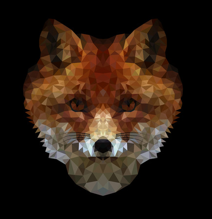 Image of foxes in the polygonal styleのイラスト素材