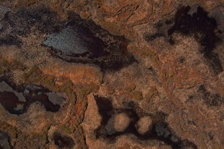 Aerial view of palsa mires at Ferdesmyra nature preserve in clear summer weather, Finnmark, Norway.