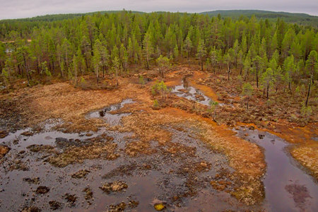 Aerial view of bog view at Ovre Pasvik National Park on a cloudy spring day, Norway.の写真素材