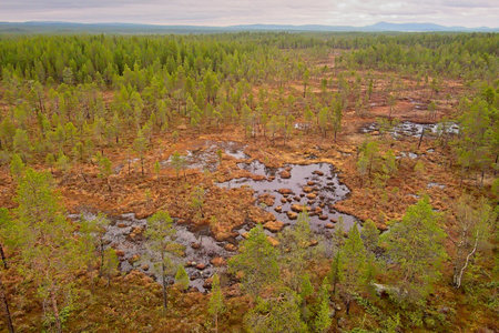 Aerial view of bog view at Ovre Pasvik National Park on a cloudy spring day, Norway.